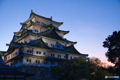 名古屋城 夕暮れ ③
