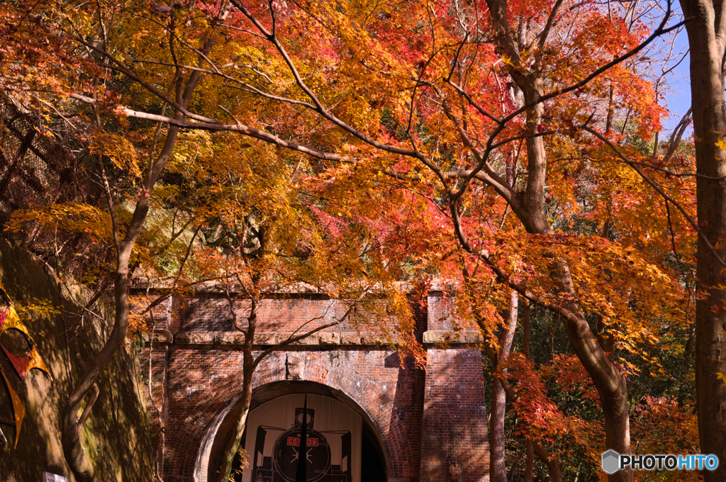 紅葉の愛岐トンネル群を歩く ①