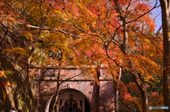紅葉の愛岐トンネル群を歩く ①