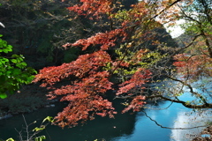 庄内川と紅葉 ②