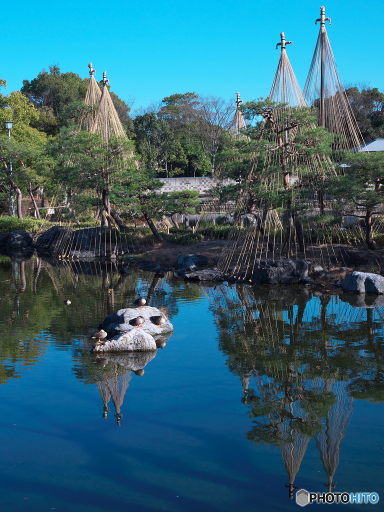 冬の庭園散歩 白鳥庭園 ③