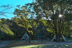 晩秋の名城公園 ①