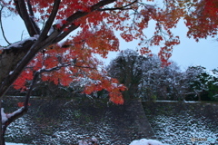 名古屋城雪景 ②