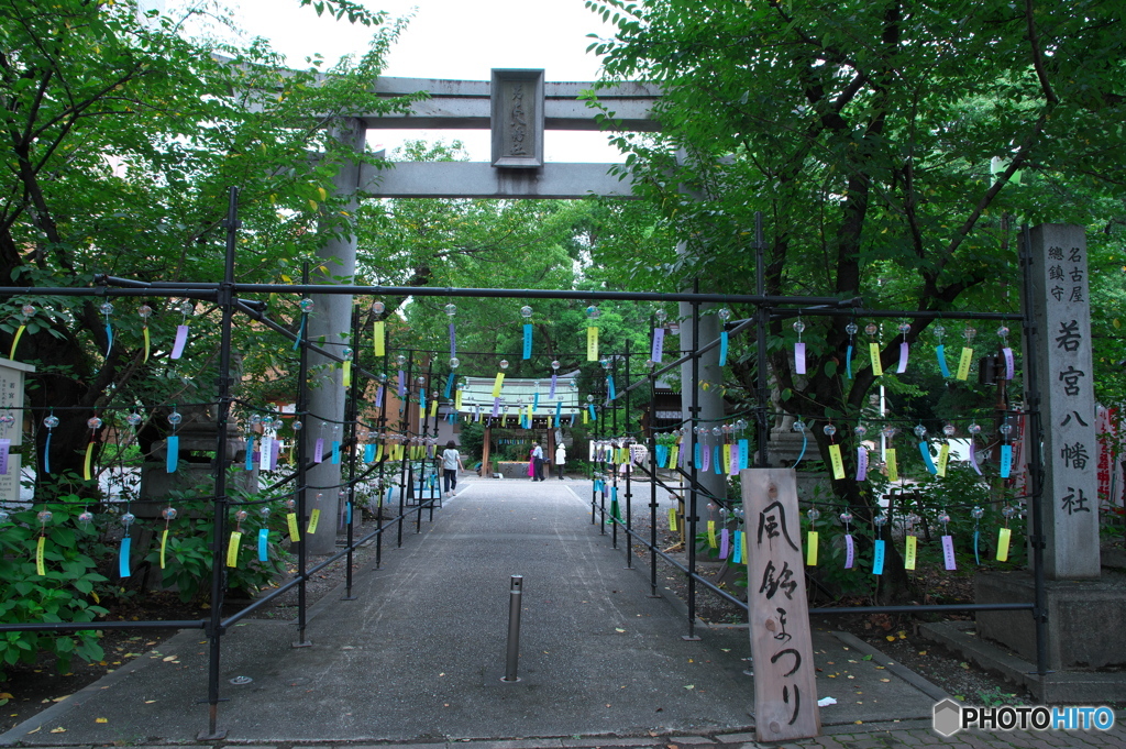 夏の風物詩 ①