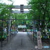 夏の風物詩 ①