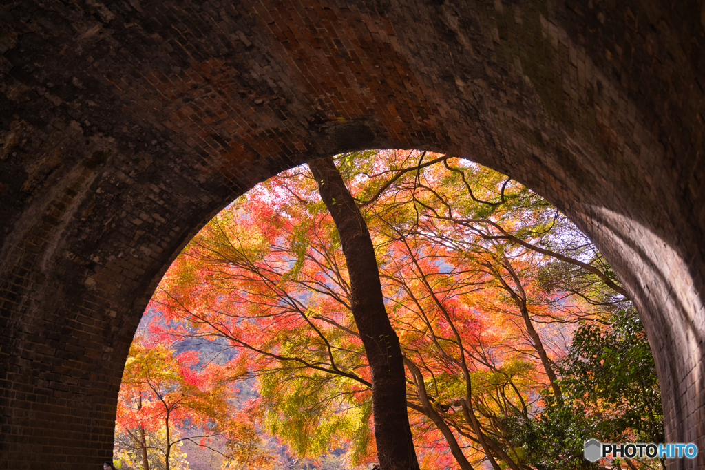 紅葉の愛岐トンネル群を歩く ⑤