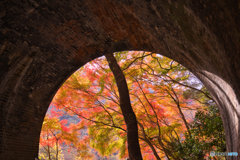 紅葉の愛岐トンネル群を歩く ⑤