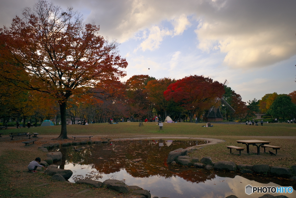 秋の名城公園２
