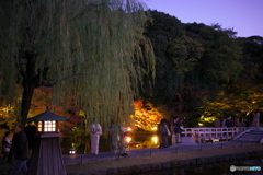 徳川園 紅葉ライトアップ ②