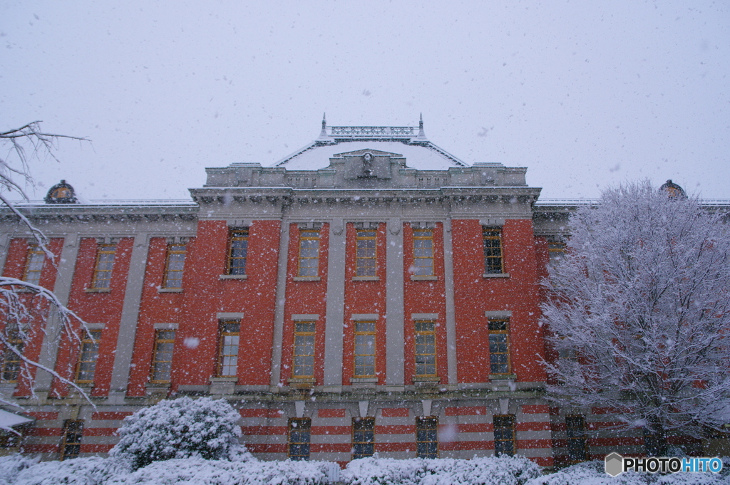 市政資料館 雪化粧 ③