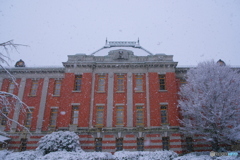 市政資料館 雪化粧 ③