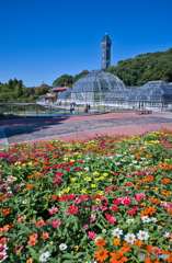 秋の東山動植物園 ③