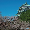 名古屋城の梅 ③
