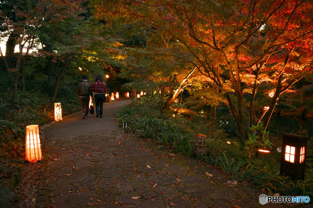 徳川園　秋の夕景３