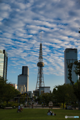 秋空 ③
