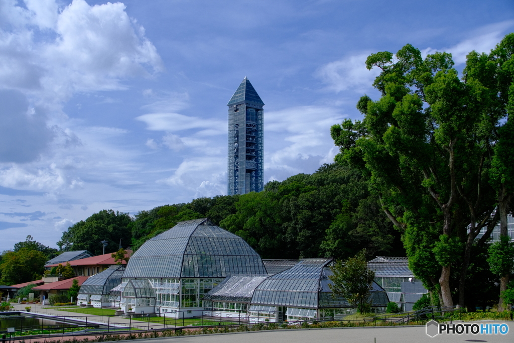 晩夏の東山動植物園 ①