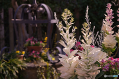 フラリエの春 ②