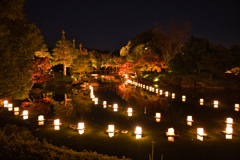 白鳥庭園 散策 ⑨