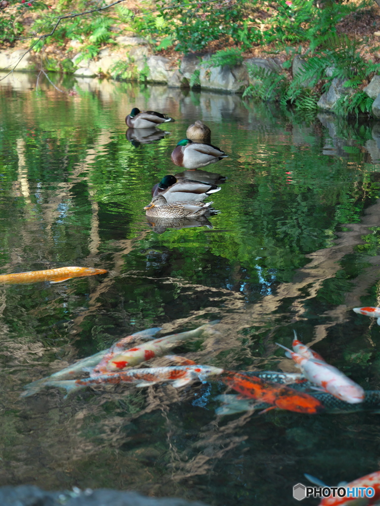 冬の庭園３