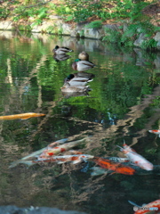 冬の庭園３