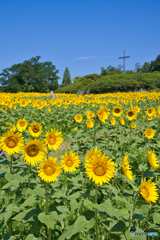愛知牧場の夏 ⑤