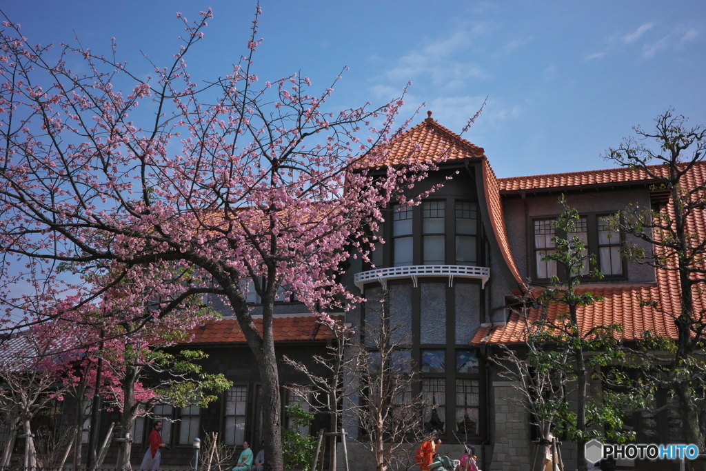 桜と大正ロマン ①