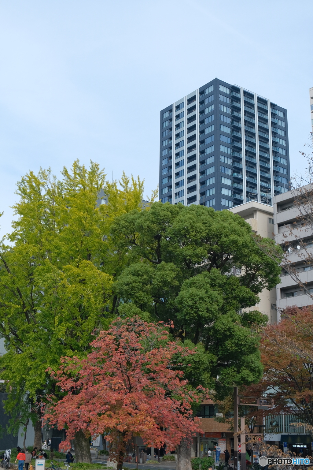 街角の紅葉 ③