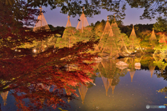 白鳥庭園 散策 ⑧