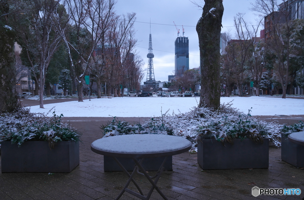 雪の朝 ⑤