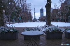雪の朝 ⑤