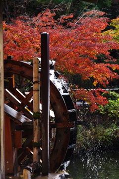 水車のある風景