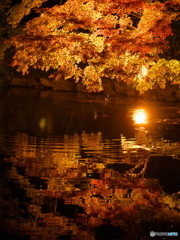 徳川園 紅葉ライトアップ ⑤