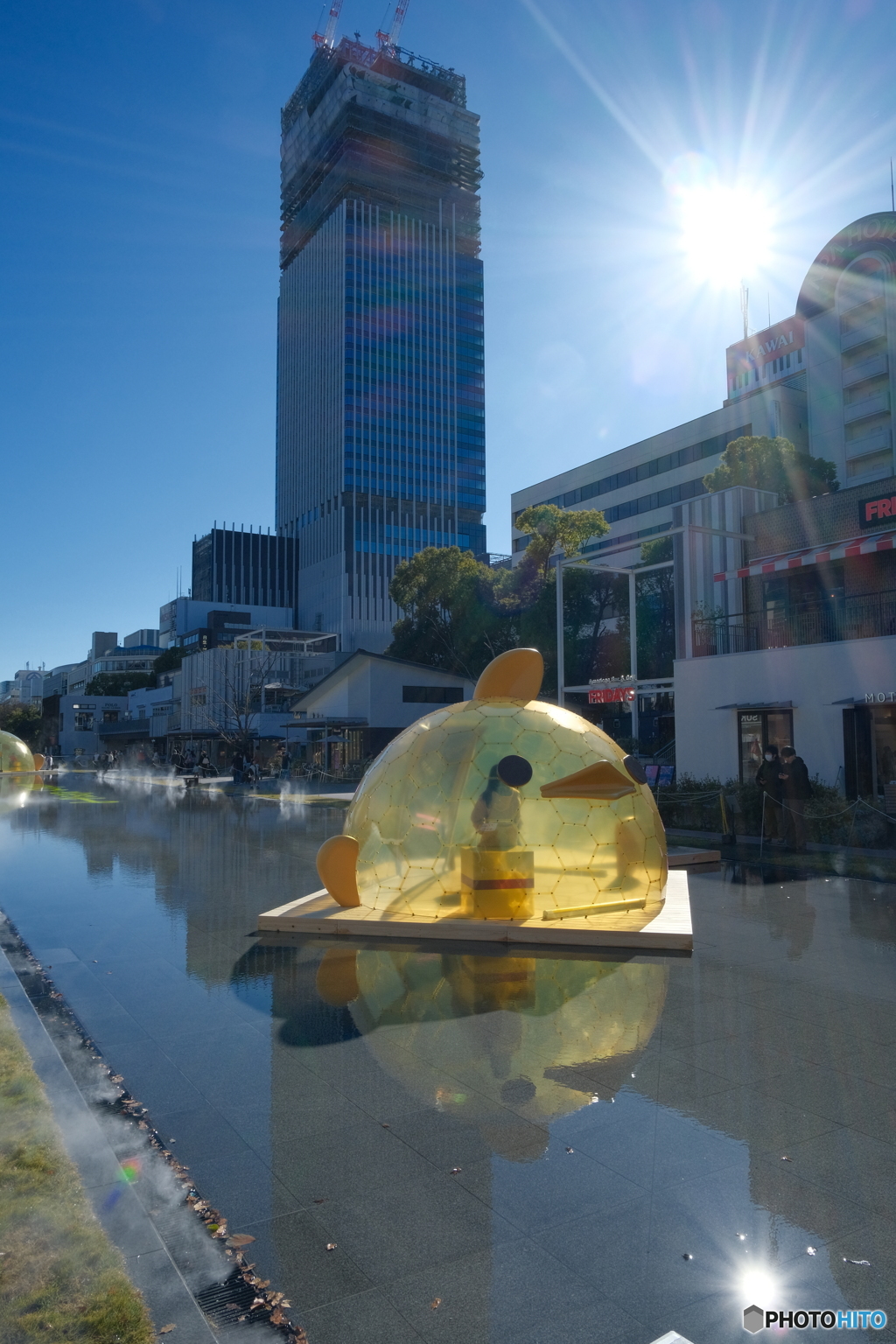 ぴよりんの飛来!? ②