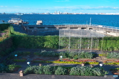 光あふれる庭 ⑩