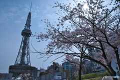 桜色の街 ⑥