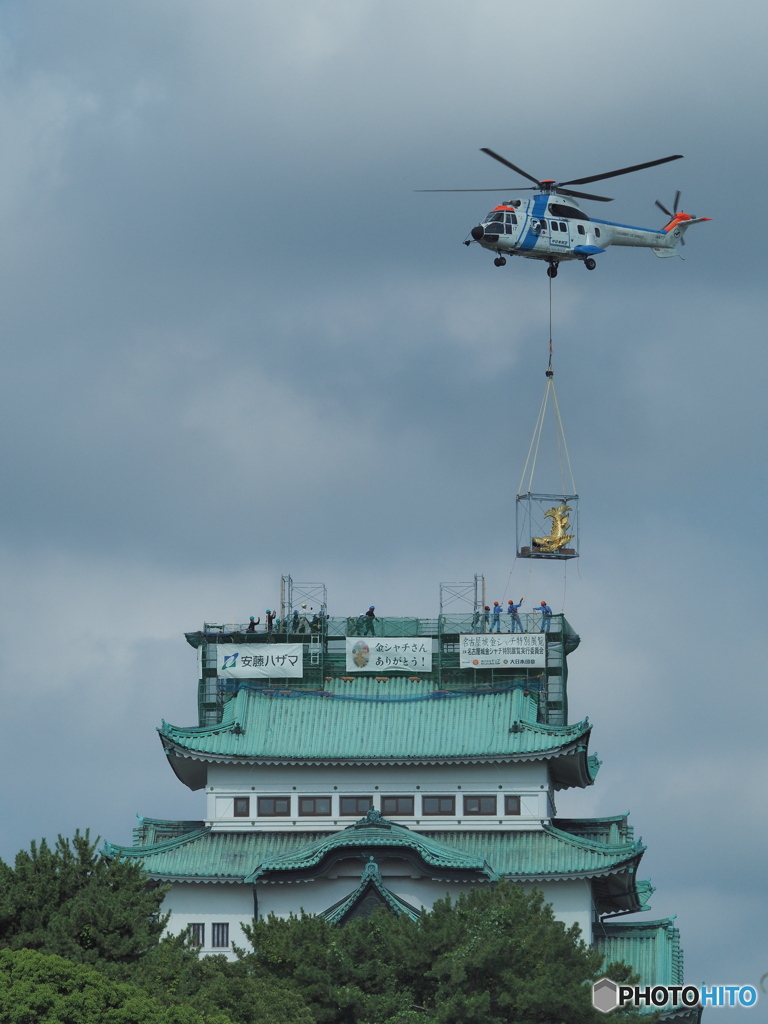 金鯱の帰還①