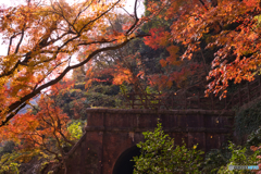紅葉の愛岐トンネル群を歩く ⑨
