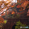 紅葉の愛岐トンネル群を歩く ⑧