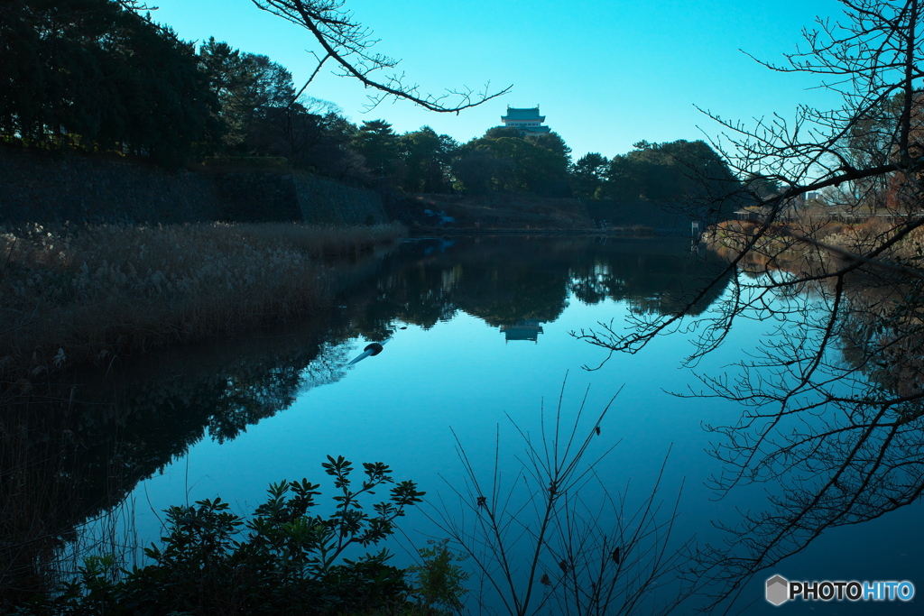冬の散歩道 ② 名古屋城お堀から天守を臨む