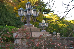 黄葉の街角 ⑧