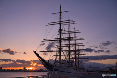 日本丸の寄港 ③