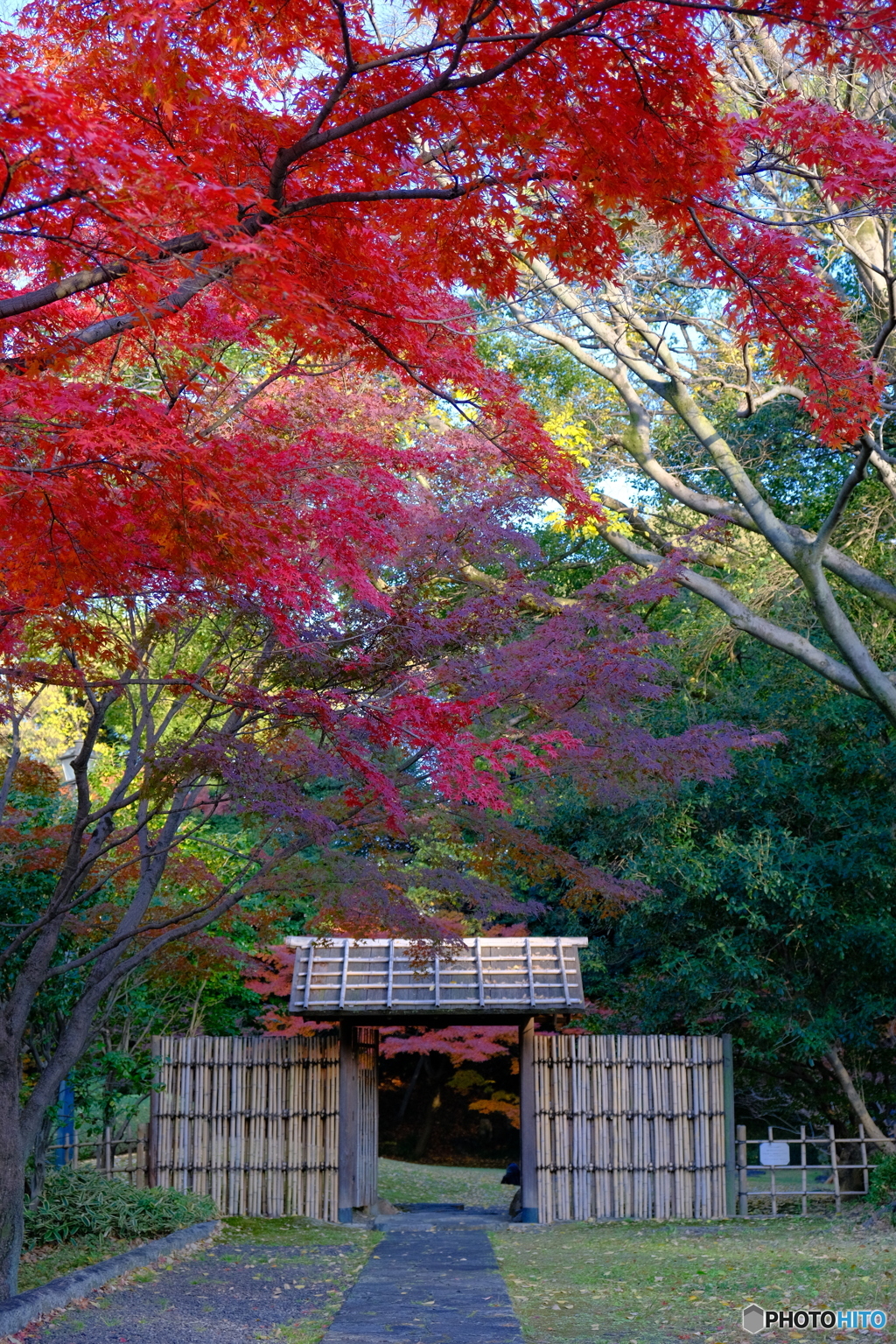 三の丸庭園_2023 ④