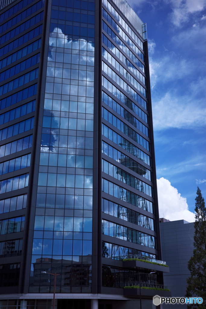 夏空を見上げて ③