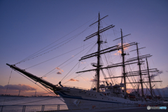 日本丸の寄港 ①