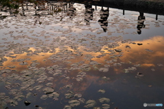 徳川園紅葉祭 ②
