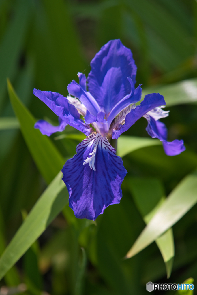 鶴舞公園 散策 ④