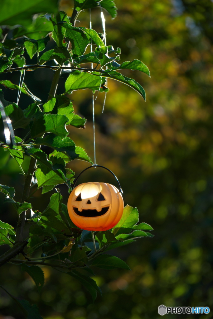 フラリエのハロウィーン ④