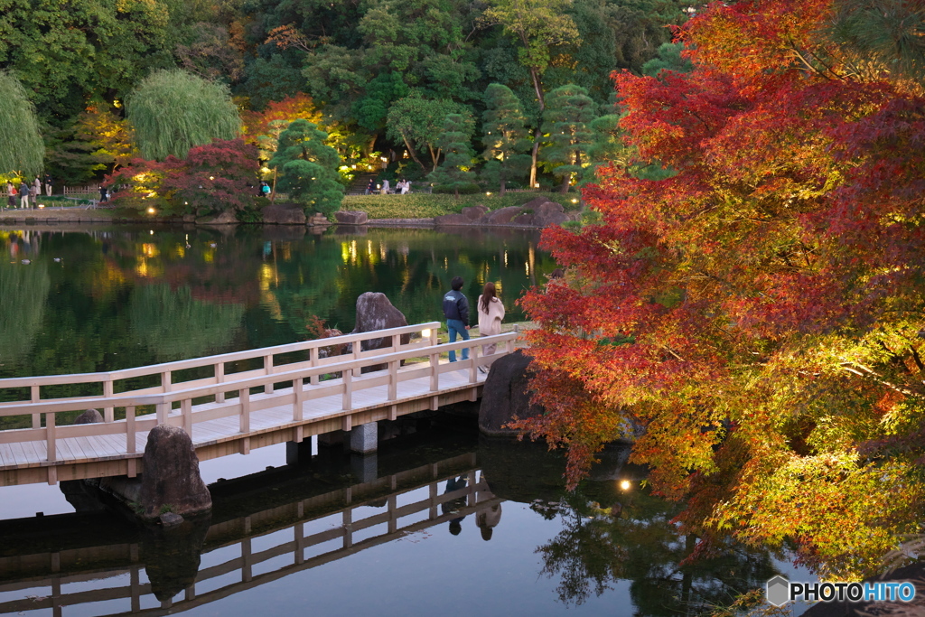 徳川園紅葉祭 ③