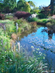 光あふれる庭 ③