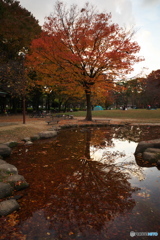 秋の名城公園３